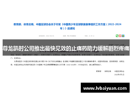 尊龙凯时公司推出最快见效的止痛药助力缓解剧烈疼痛